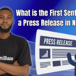 What is the First Sentence of a Press Release in Nigeria